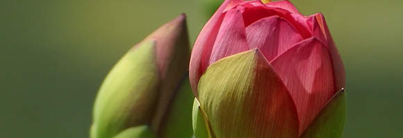 Inform your eye doctor in advance of time that you are using retino a.